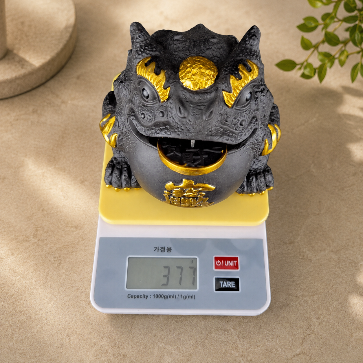 삼족두꺼비 삼족두꺼비를 전자저울에 올려 무게를 확인하는 모습 이미지